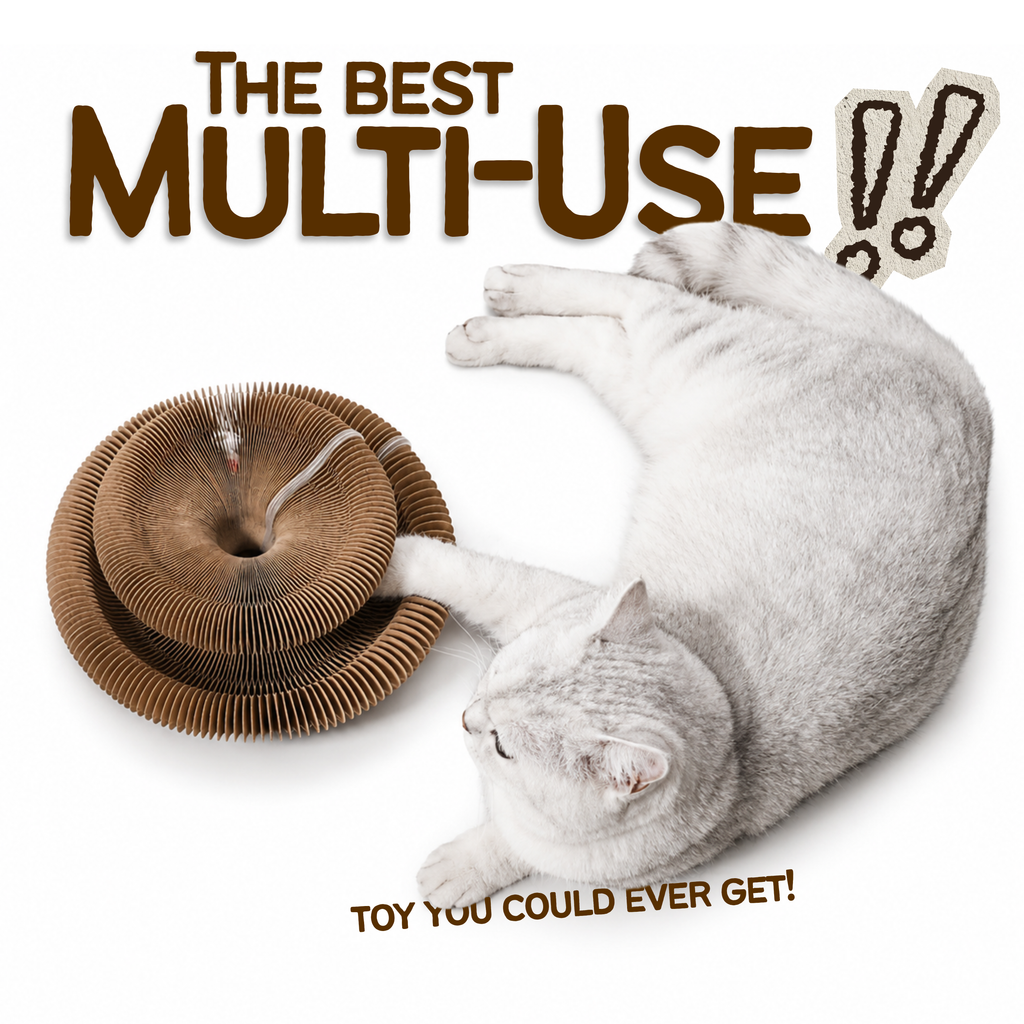 Accordion Cat Scratcher