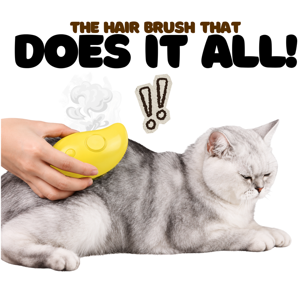 Steam Spray Grooming Brush