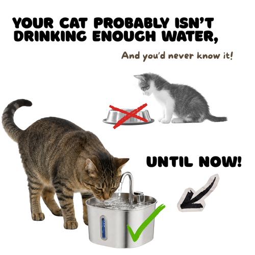 Automatic Cat Water Fountain