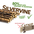 Silvervine Chew Sticks