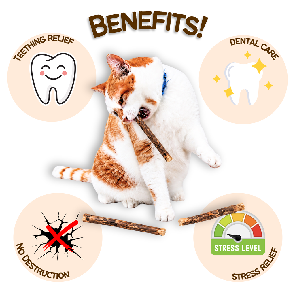 Silvervine Chew Sticks