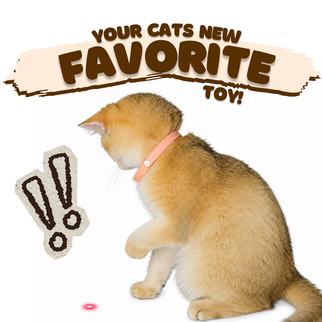 Auto Laser Cat Collar