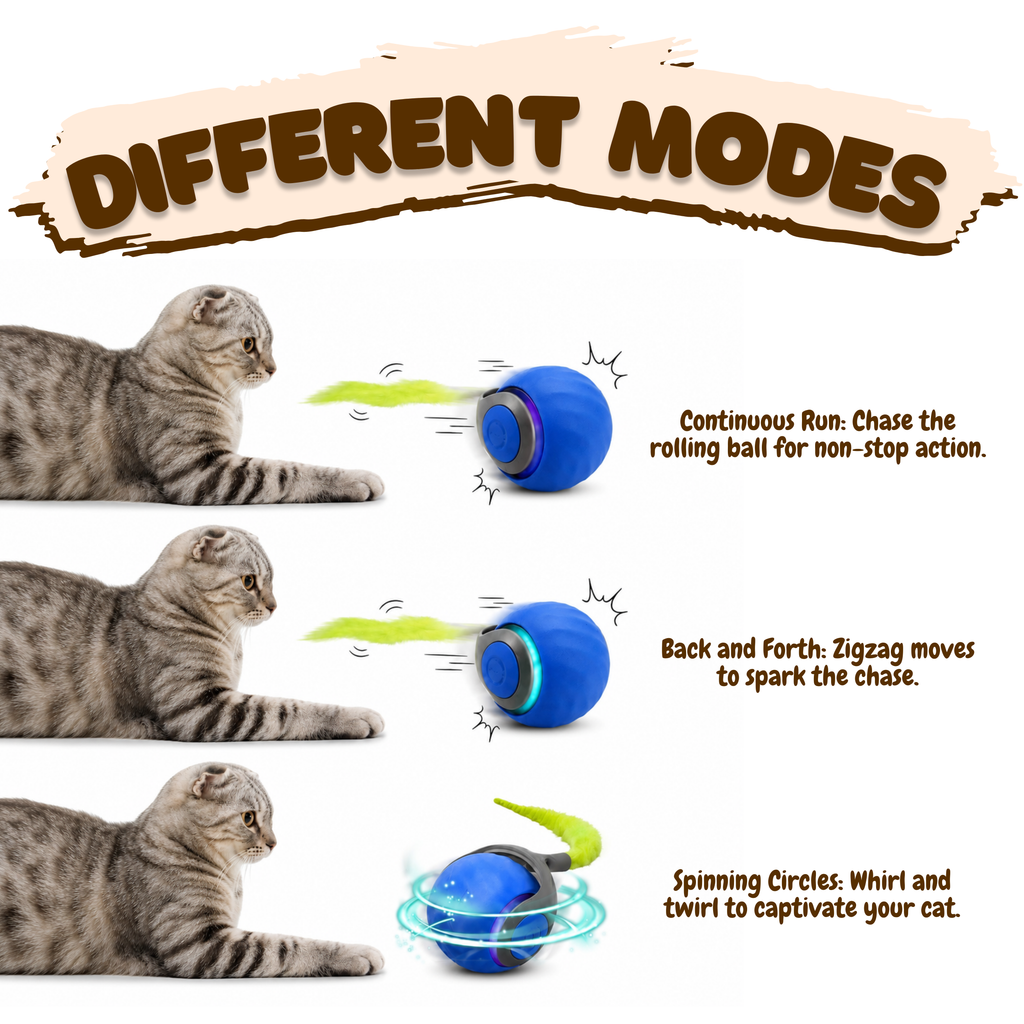 The Speedy Tail
